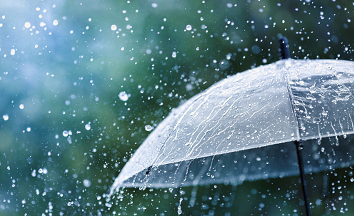 आज पनि व्यापक वर्षाको सम्भावना, बढी कहाँ?